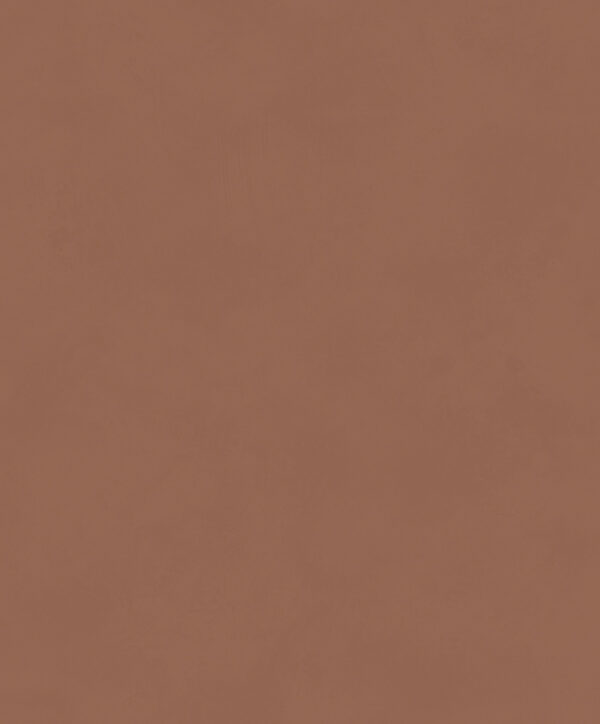 BLONE1013.TIF Masureel tapeet Color Terra