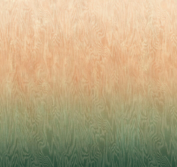 dg4moi108x Masureel tapeet Moire River