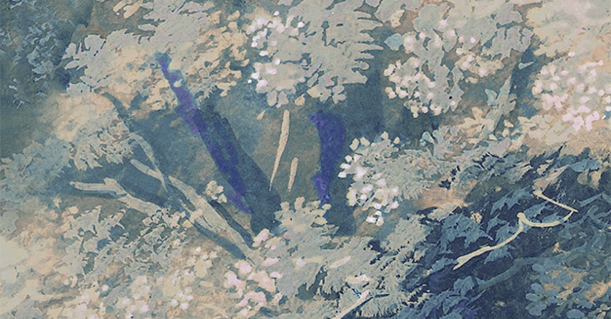 Masureel tapeet Wood Blue