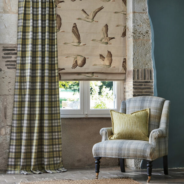 Sanderson kangas Elysian Geese
