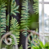 Sanderson kangas Fernery