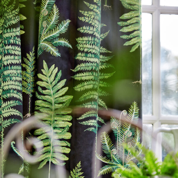 Sanderson kangas Fernery