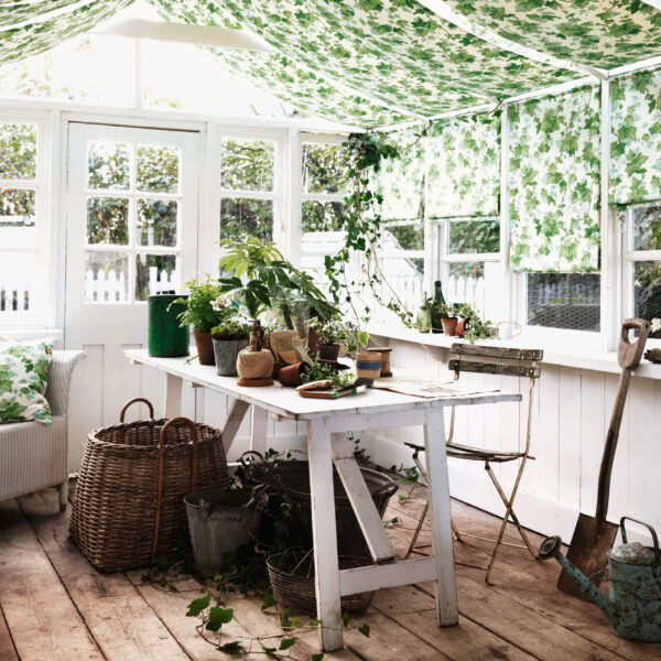 Sanderson kangas Hedera