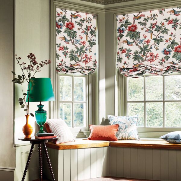 Sanderson kangas Lophura