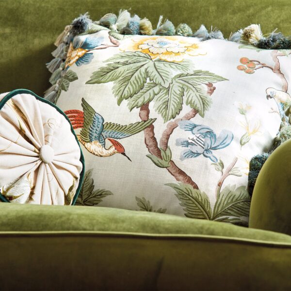 Sanderson kangas Lophura