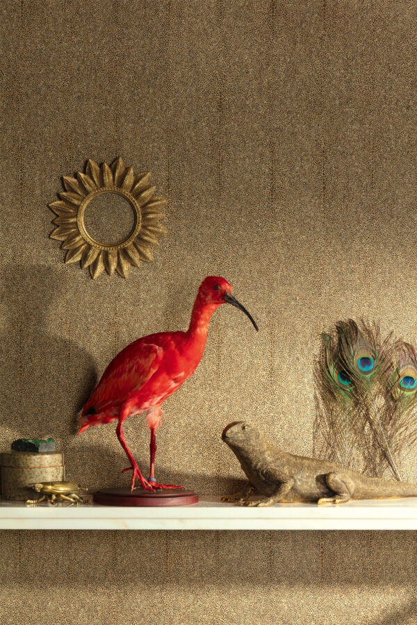 pictcab904-2 Masureel tapeet Iguana Amber