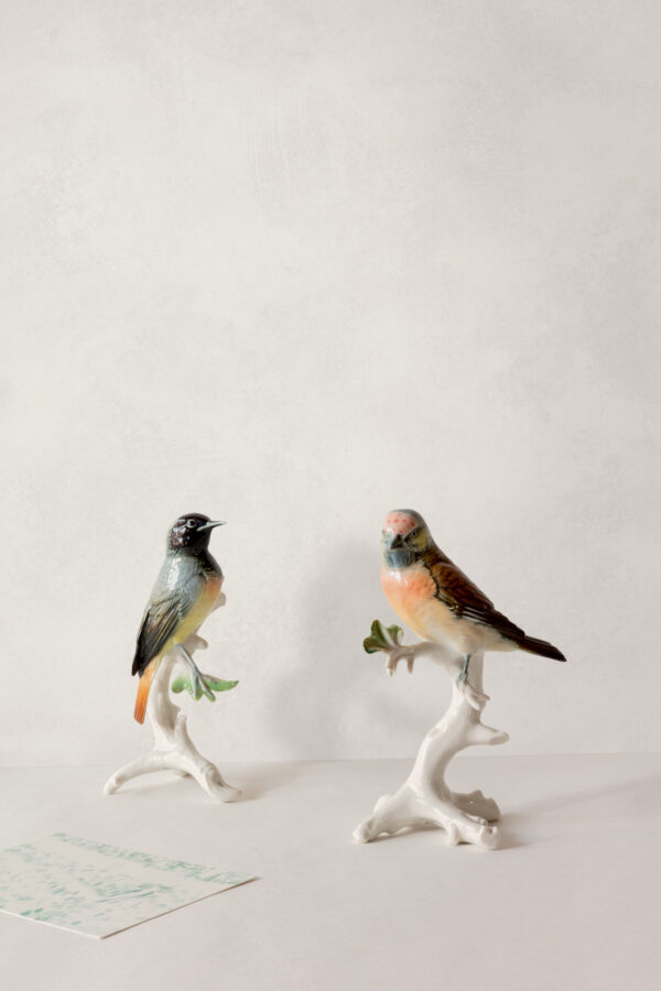 pictony502 Masureel tapeet Calco Ice