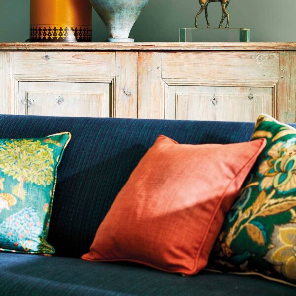 Sanderson kangas Darter