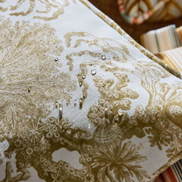 Sanderson kangas Monterey Bay