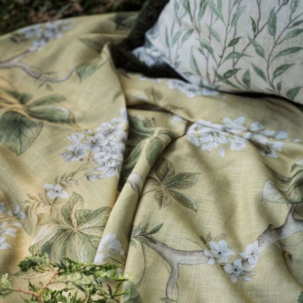 Sanderson kangas Chestnut Tree