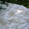 Sanderson kangas Fern Embroidery
