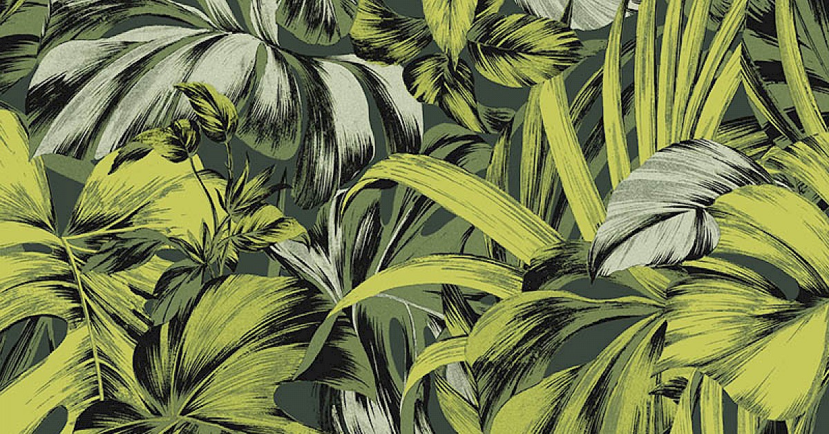 zen102.1200x628 Masureel tapeet Bonita Forest