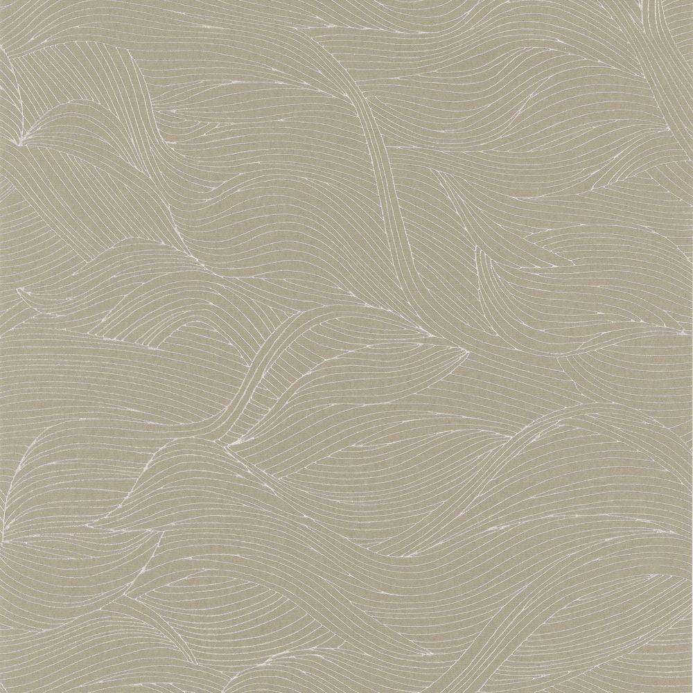 Casamance tapeet Alula Taupe
