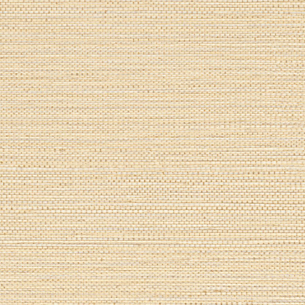 Casamance tapeet Zostera Coquille