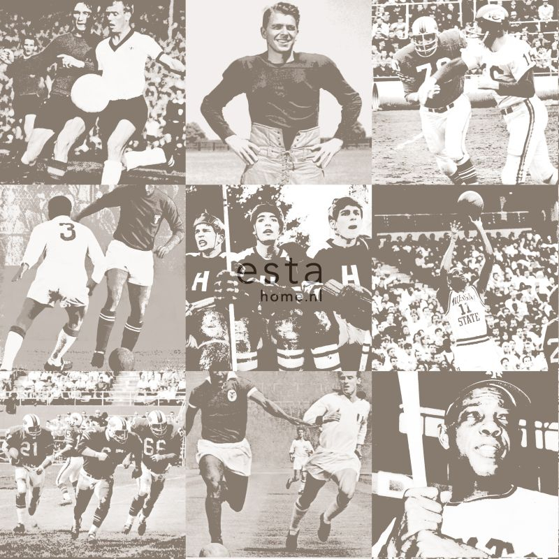 ESTAhome tapeet spordikangelased - sepia pruun