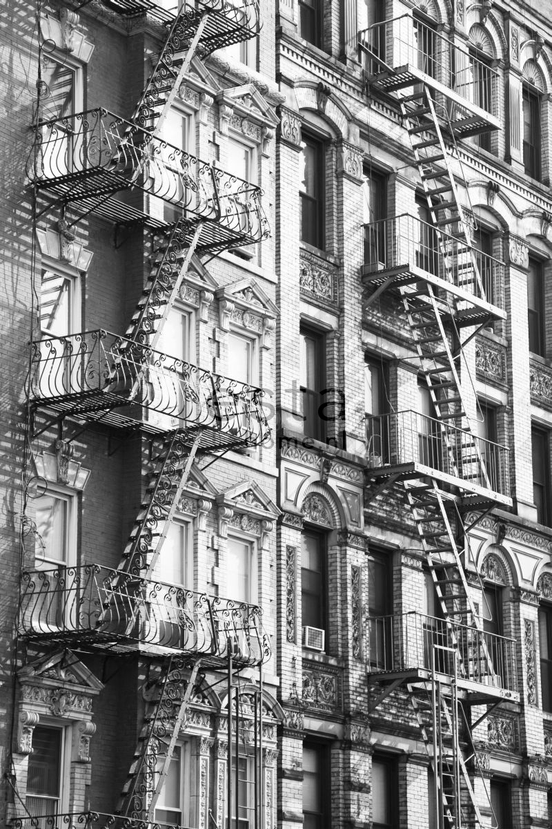 ESTAhome fototapeet tule trepid - mustvalge