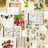 ESTAhome fototapeet botaaniline - beež, roheline ja roosa