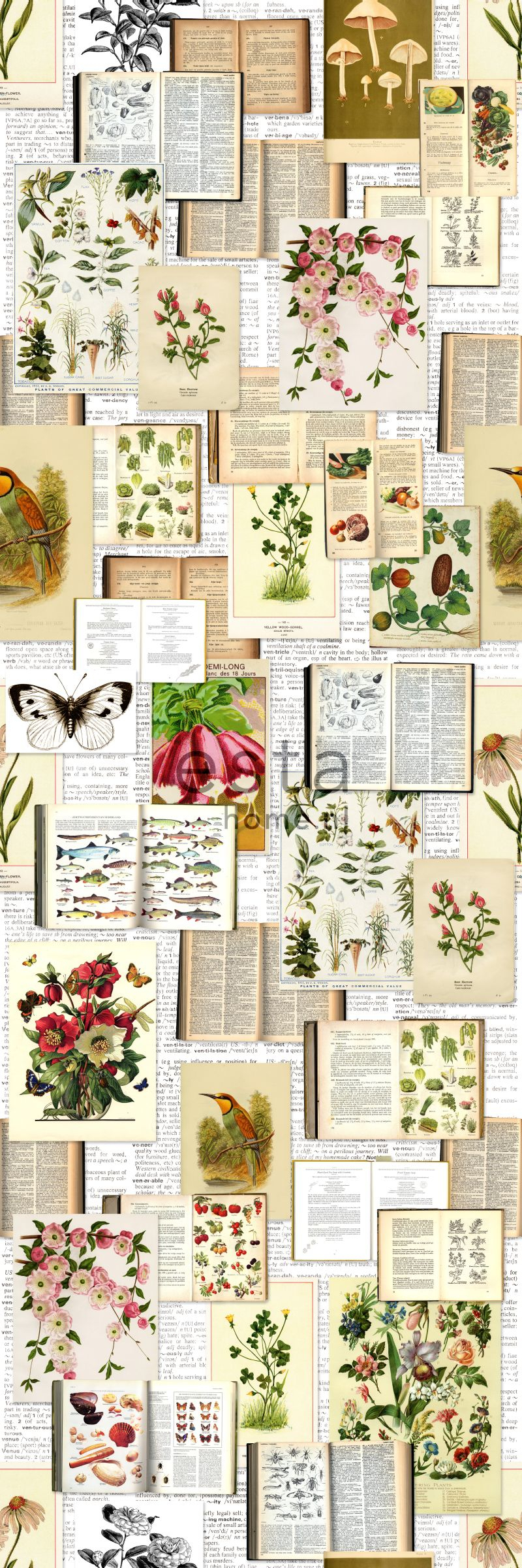 ESTAhome fototapeet botaaniline - beež, roheline ja roosa