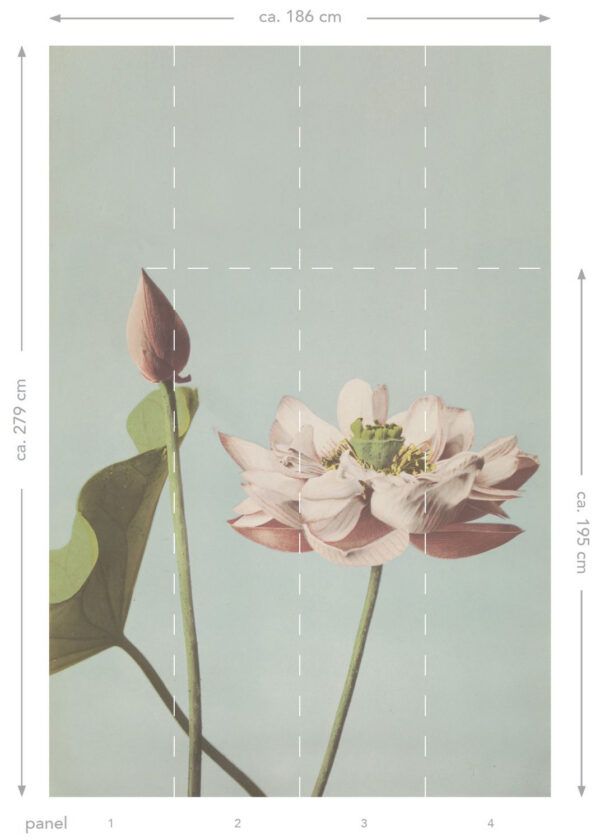 ESTAhome fototapeet lootusõis - antiikroosa