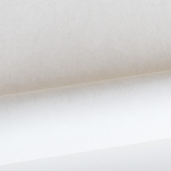 Origin Wallcoverings tapeet ühevärviline helevalge