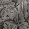 Origin Wallcoverings tapeet palmilehed - tumehall