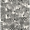 Origin Wallcoverings tapeet sebrad - must ja valge