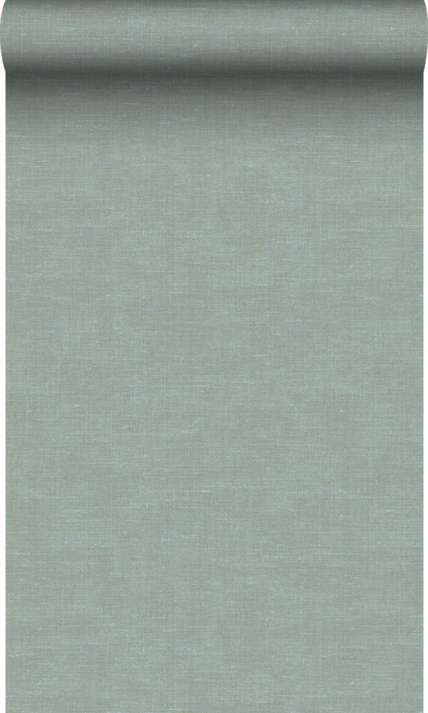 Origin Wallcoverings lina tekstuur tapeet - seladonroheline