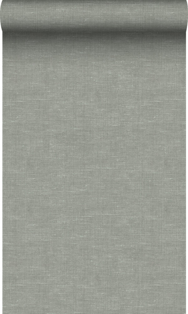 Origin Wallcoverings lina tekstuur tapeet - hallikasroheline