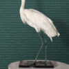 Origin Wallcoverings krokodillinahk tapeet - sinakasroheline