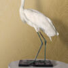 Origin Wallcoverings tapeet palmilehed - sinepikollane