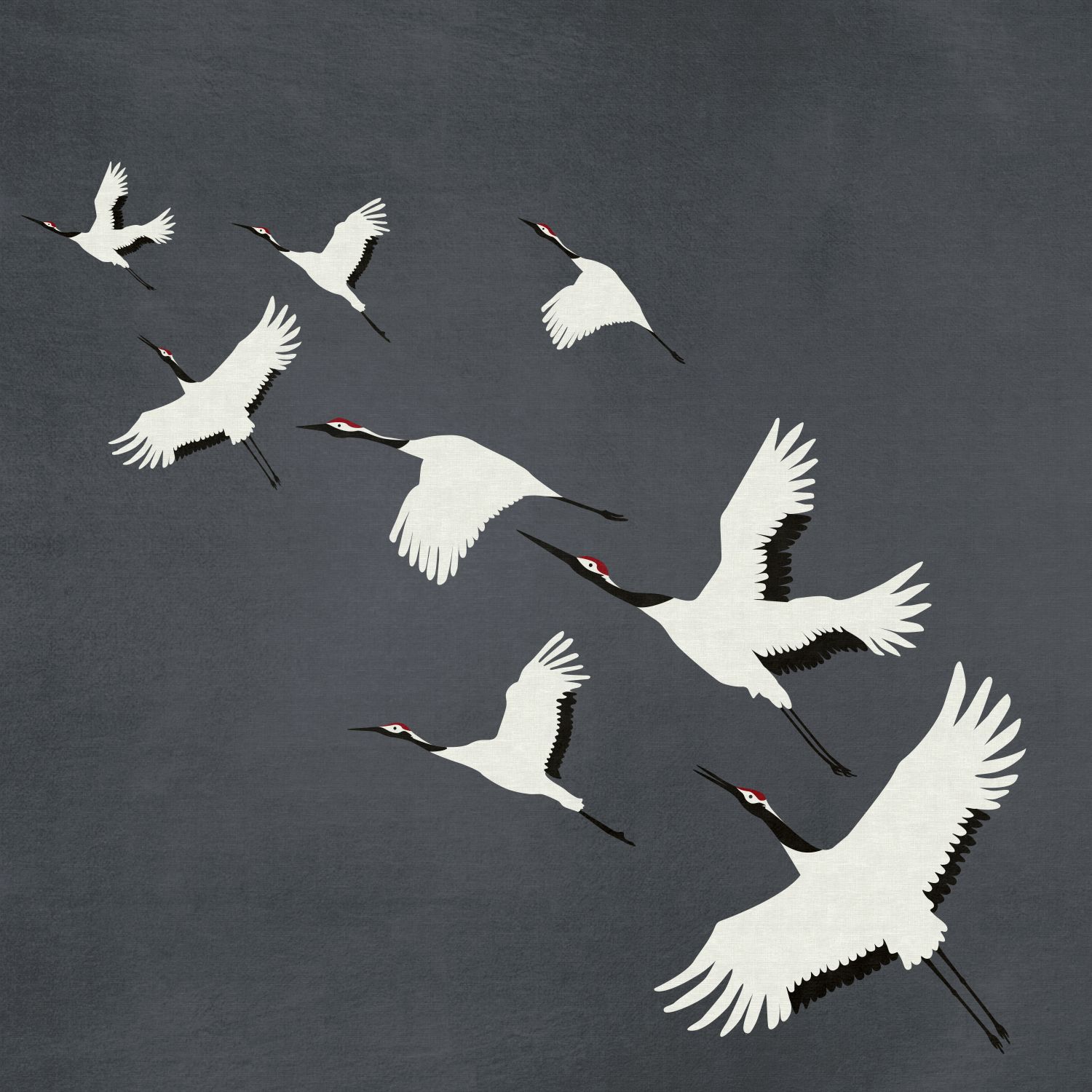 Origin Wallcoverings fototapeet kraanlinnud - tumehall