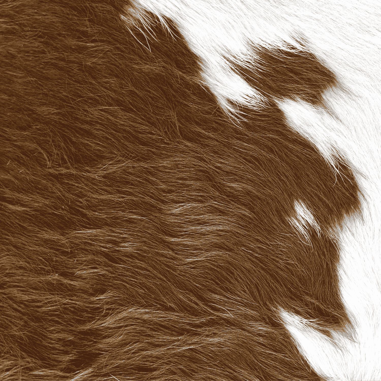 Origin Wallcoverings mittekootud tapeet XXL lehmanahk imitatsioon pruun-valge