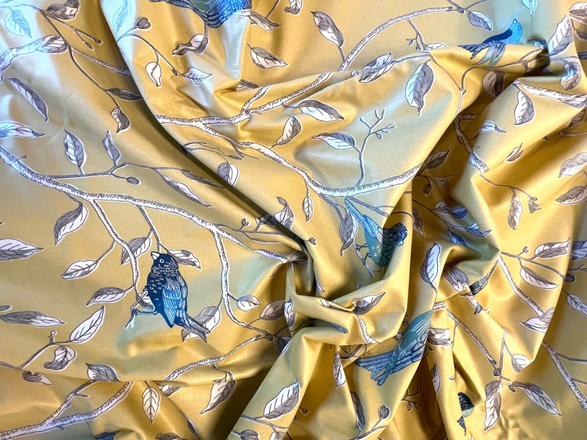 sanderson kangas finches