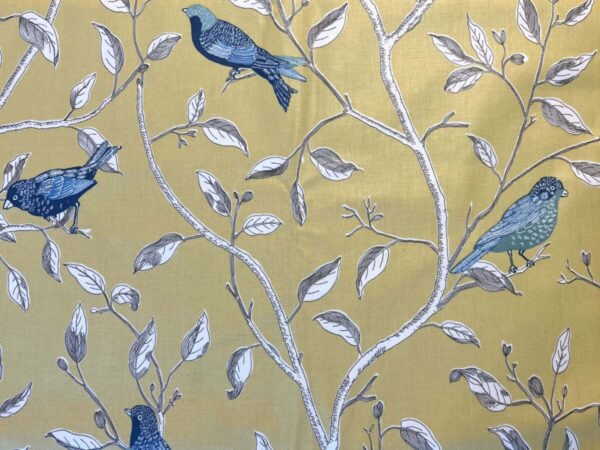 sanderson kangas finches