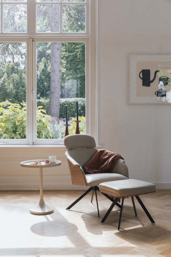 Zuiver tugitool Frie