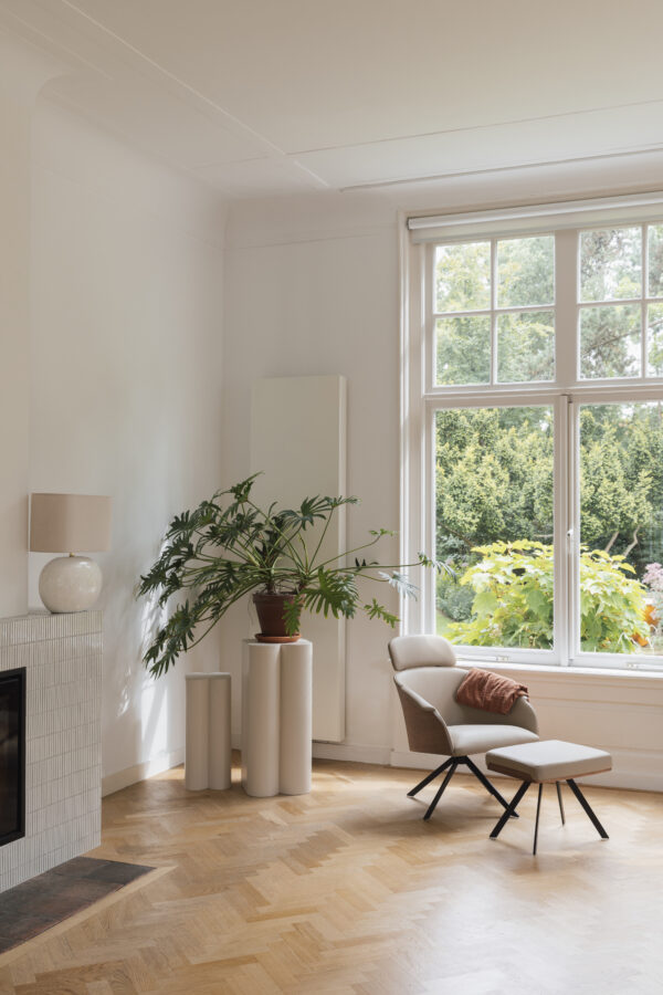 Zuiver tugitool Frie