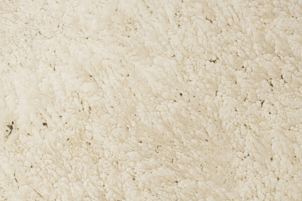 Zuiver abilaud Doppio