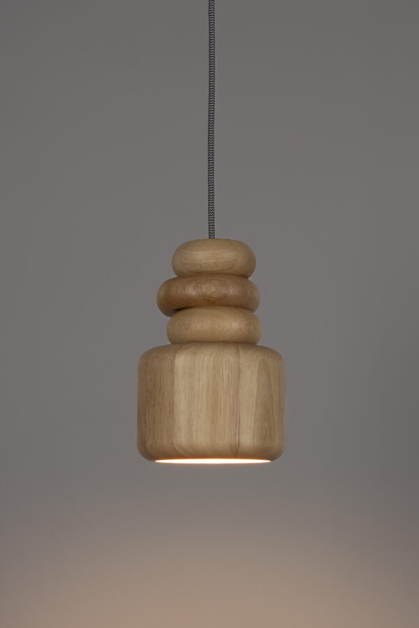 1000229_11 Zuiver valgusti Dicky