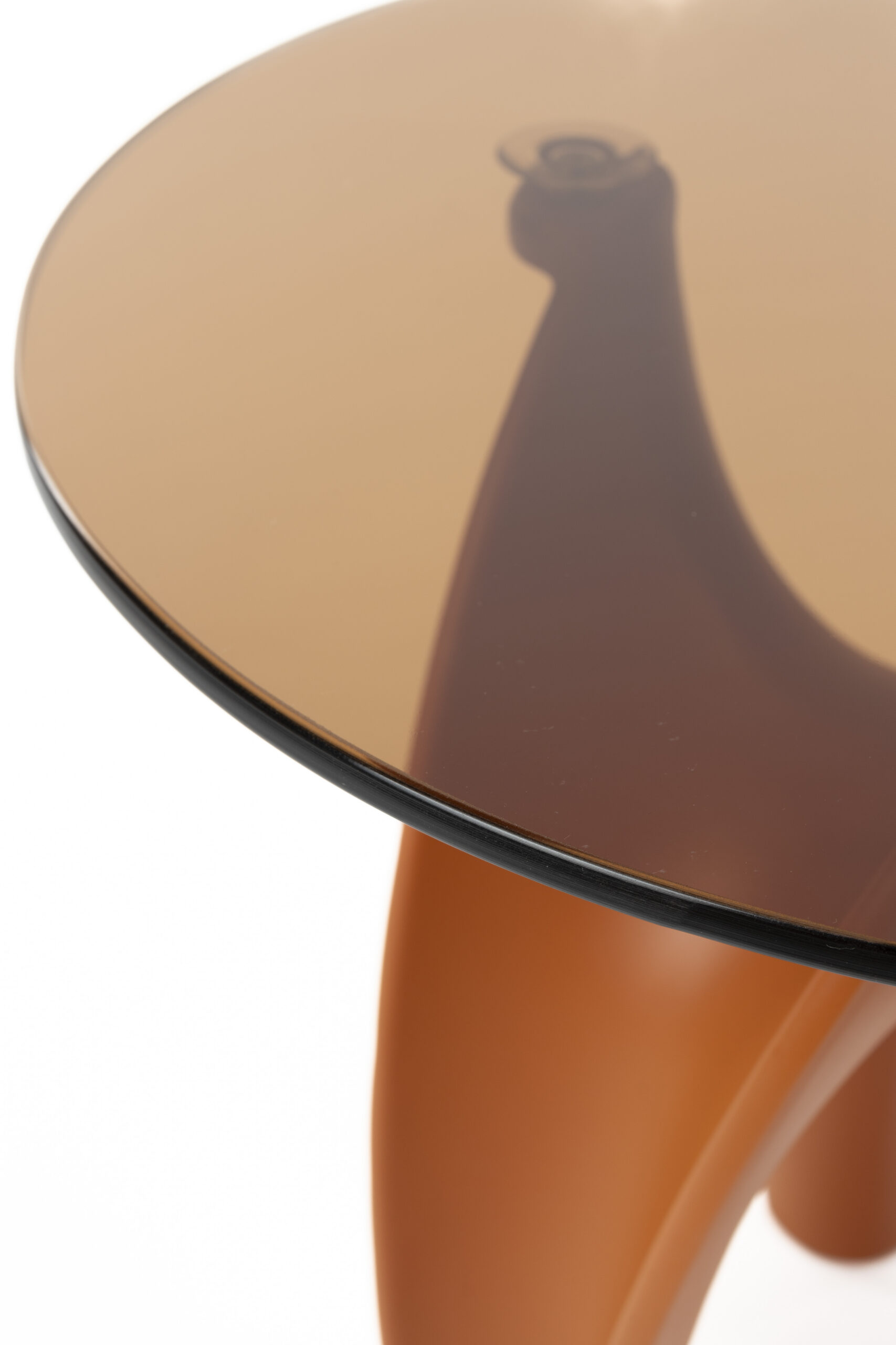 Bold Monkey abilaud Hactua