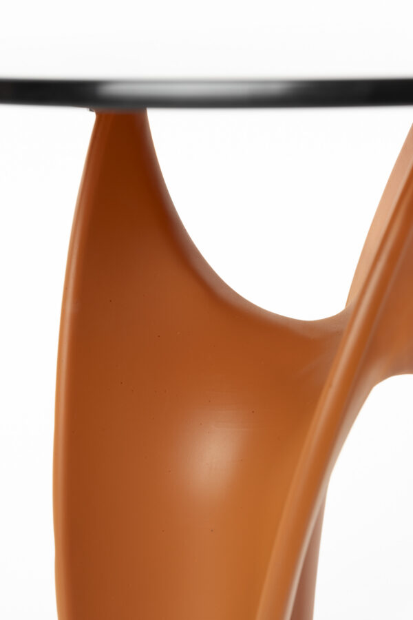 Bold Monkey abilaud Hactua