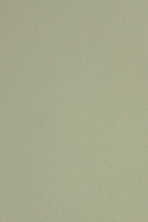 White Label Living abilaud Blast