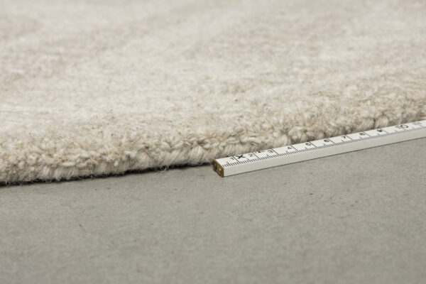 6100129_13 Zuiver vaip Forms