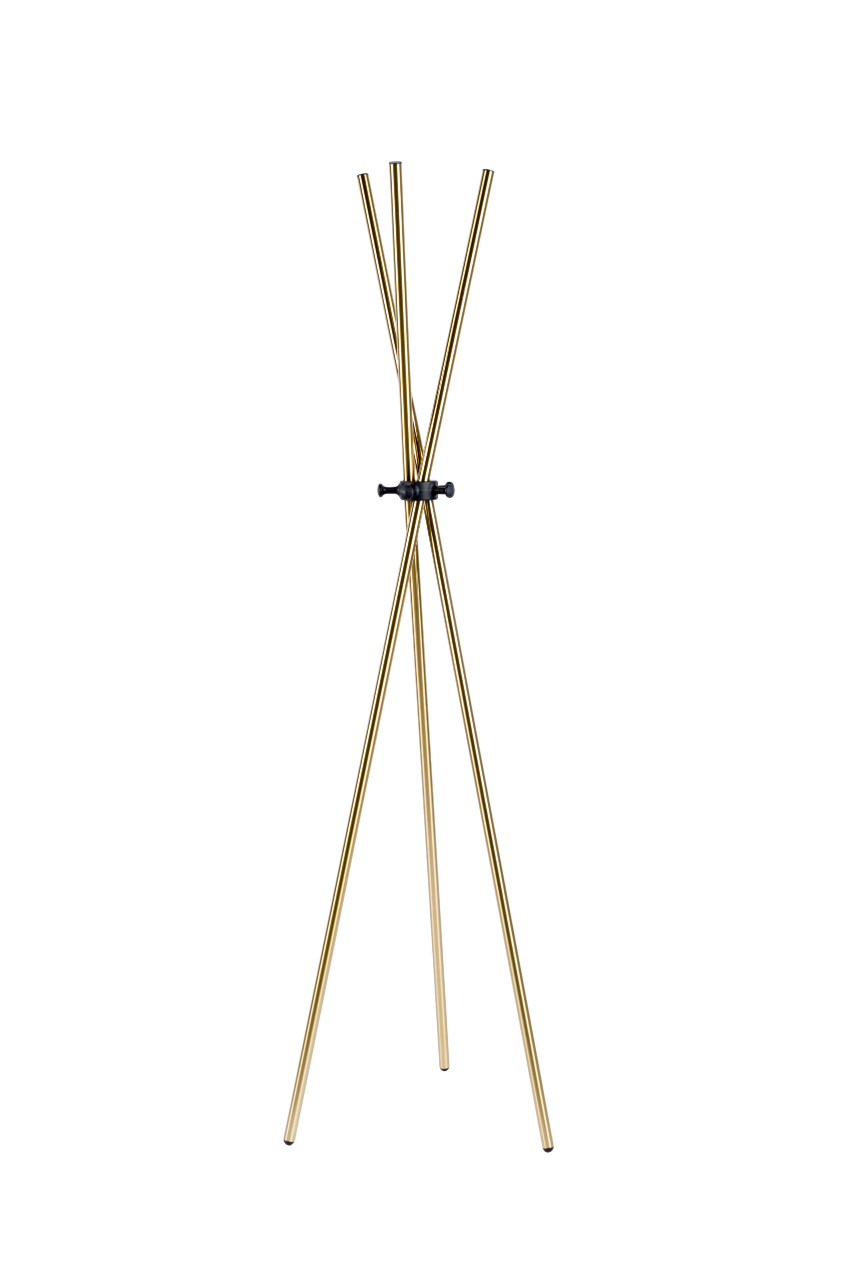 White Label Living riidepuu Darwin