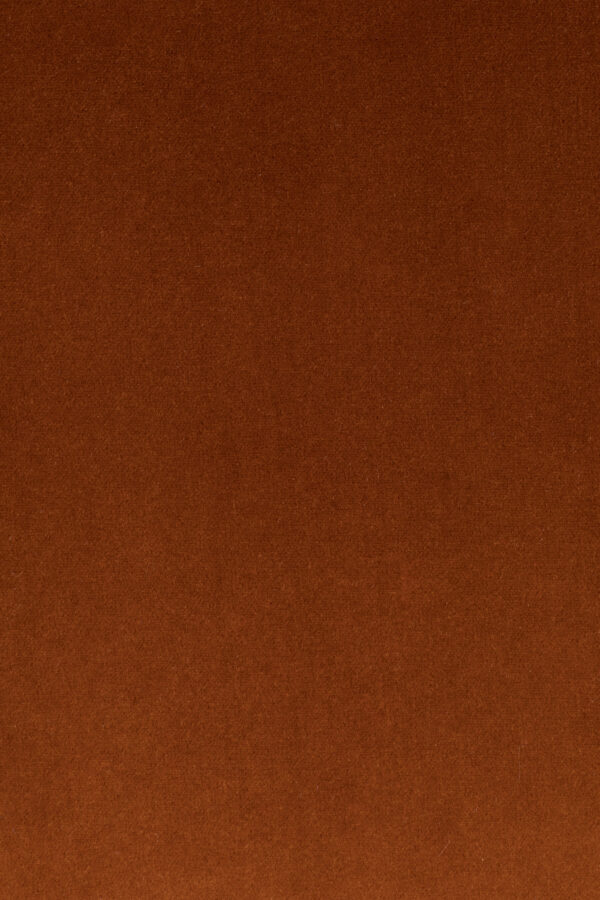 Bold Monkey tugitool So Curvy