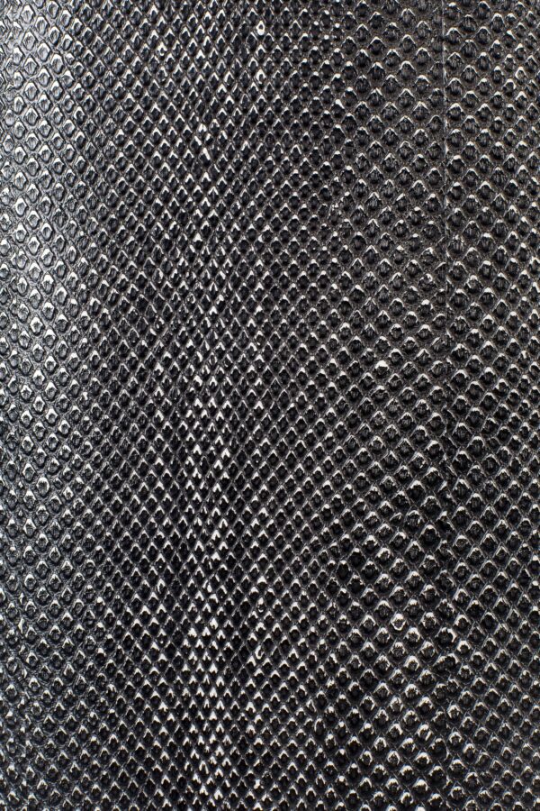 Bold Monkey kapp Ava Morgana