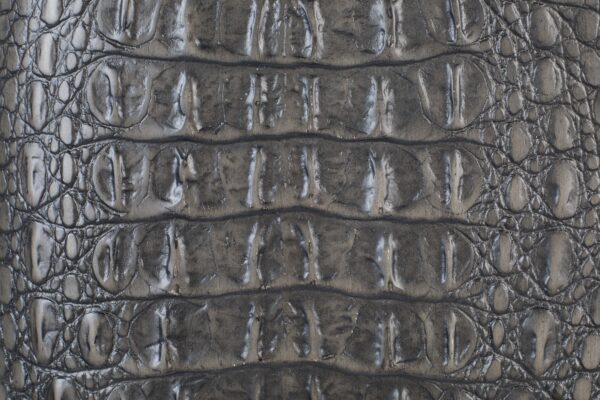 Bold Monkey kapp Ava Morgana