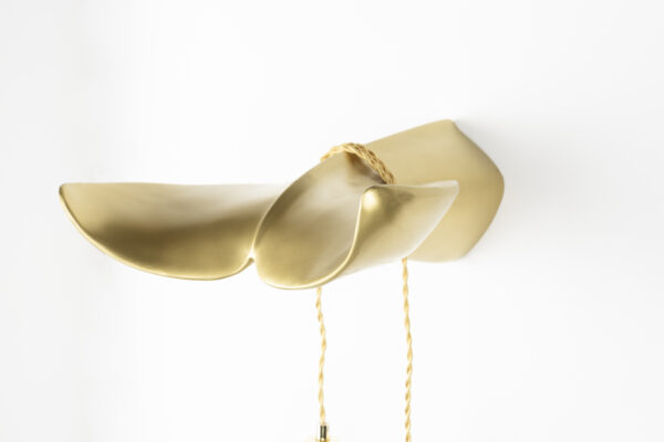 Bold Monkey seinavalgusti The Tail Will Follow