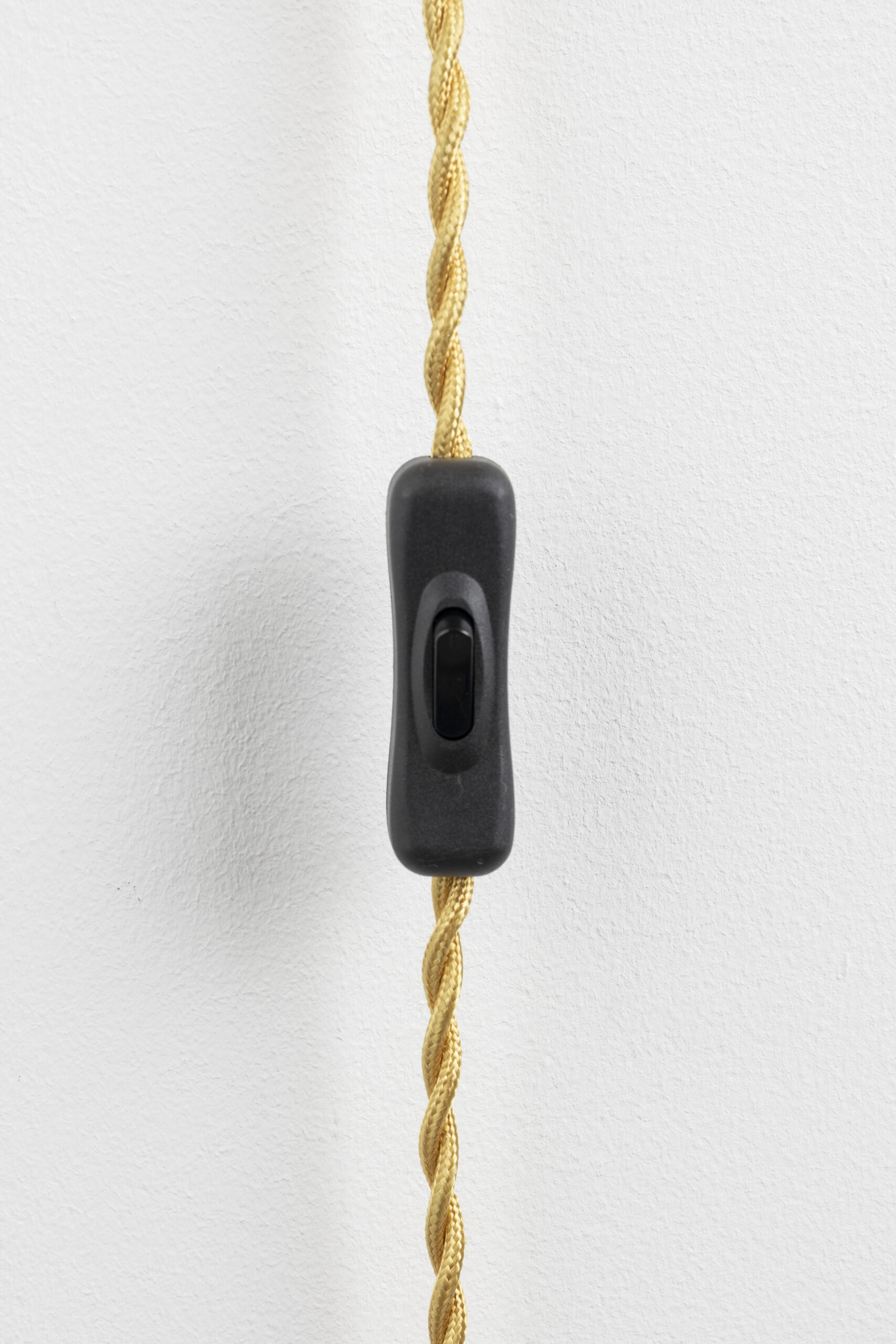 Bold Monkey seinavalgusti The Tail Will Follow