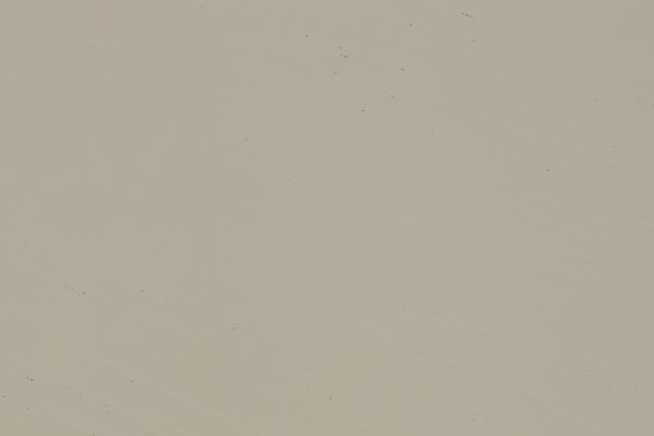 Zuiver abilaud Jason