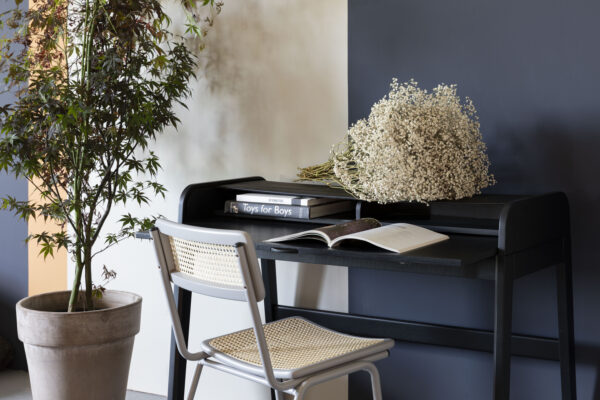 Zuiver töölaud Barbier